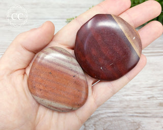 Zebra Stone Palm Stone