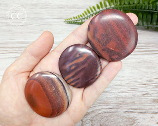 Zebra Stone Palm Stones in hand