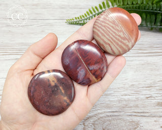 Zebra Stone Palm Stone