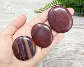 Zebra Stone Palm Stone