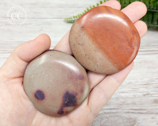 Zebra Stone Palm Stone
