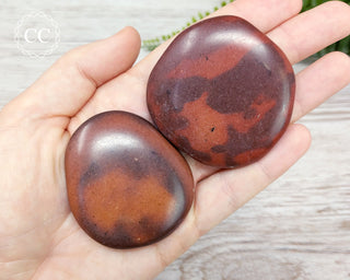 Zebra Stone Palm Stone
