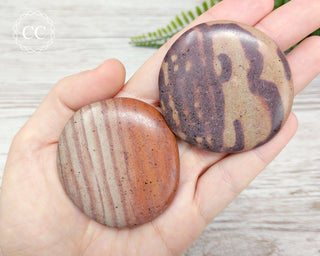 Zebra Stone Palm Stone