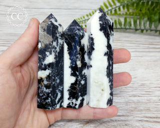 Zebra Jasper | Zebra Marble Towers in hand