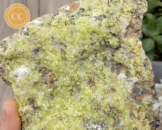 XL Hyalite Cluster - Namibia #93