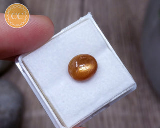 Cats Eye Sunstone Cab #5