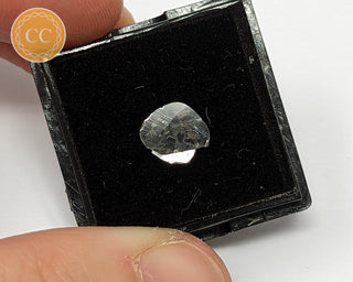 Diamond Slice #1