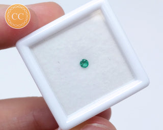 Emerald Faceted Gem