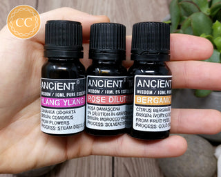 Essential Oils for Relaxation #2 - Ylang Ylang III, Bergamot & Rose