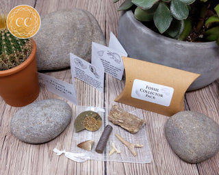 Fossil Collector Pack