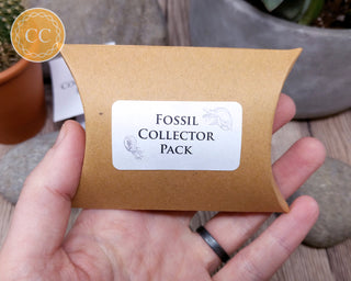 Fossil Collector Pack