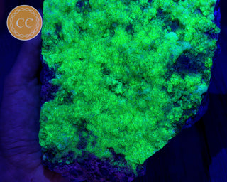 XL Hyalite Cluster - Namibia #93