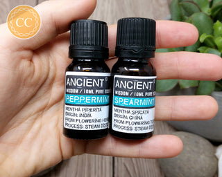 Minty Duo - Spearmint & Peppermint Essential Oil