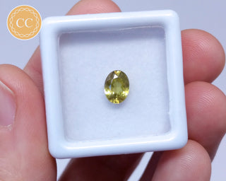 Sphene Faceted Gem #4