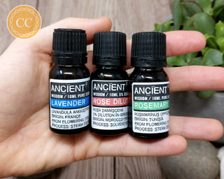 Starter Essential Oils - Rose, Lavender & Rosemary