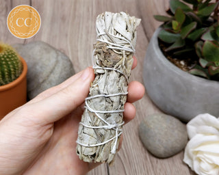White Sage & Peppermint Stick in hand