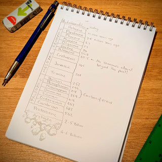 Fossil Friday: A Look Back Through Time