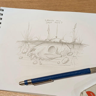Sketch of a fossil beneath the ground