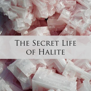 The Secret Life Of Halite