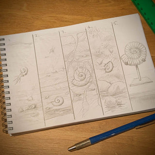 Fossil Friday: How Fossils Form