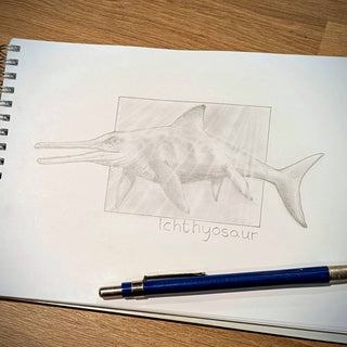 A pencil sketch of an Icthyosaur swimming