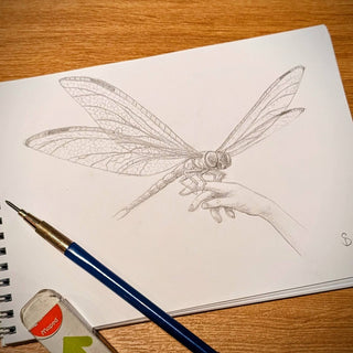 Fossil Friday: Meganeura