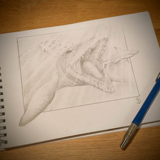 Fossil Friday: Mosasaurs