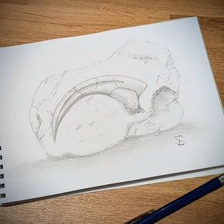 Pencil sketch of a Velociraptor claw on a sketchbook