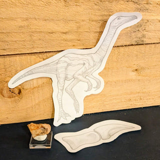 Fossil Friday: Struthiomimus