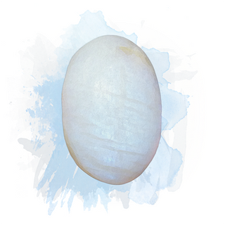 Peristerite Moonstone