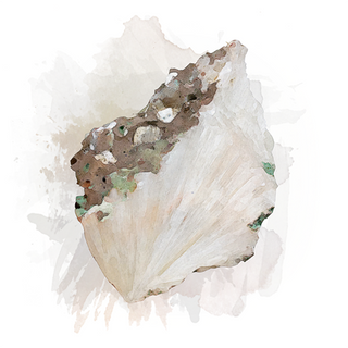 Scolecite