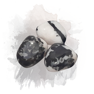 Zebra Jasper