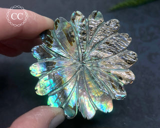 Large Abalone Shell Flower #1