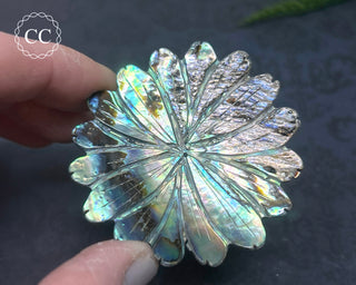 Large Abalone Shell Flower #1