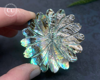 Large Abalone Shell Flower #1