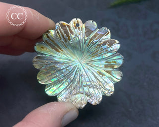 Large Abalone Shell Flower #6