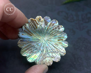Large Abalone Shell Flower #6