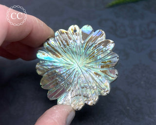 Large Abalone Shell Flower #6