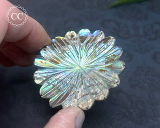 Large Abalone Shell Flower #6