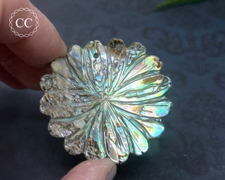 Large Abalone Shell Flower #7