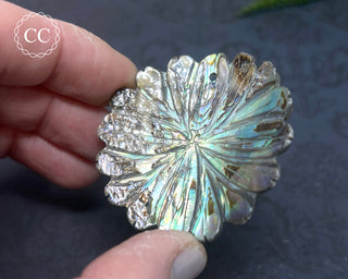 Large Abalone Shell Flower #7