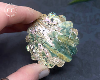 Large Abalone Shell Flower #7