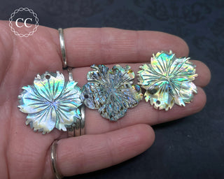 Small Abalone Shell Flower