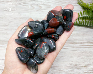 African Bloodstone Tumbled Crystals in hand