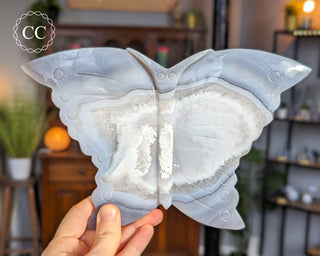 Large Agate Butterfly #4