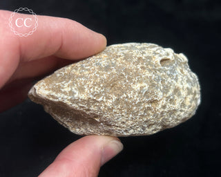 Agate Geode #3