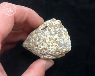 Agate Geode #3