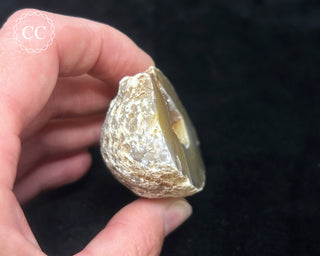 Agate Geode #3