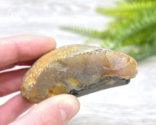 Agate Geode #6