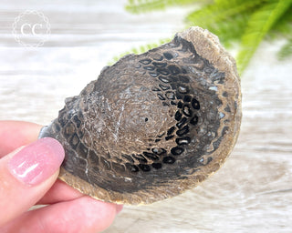 Agate Pinecone Slice #1
